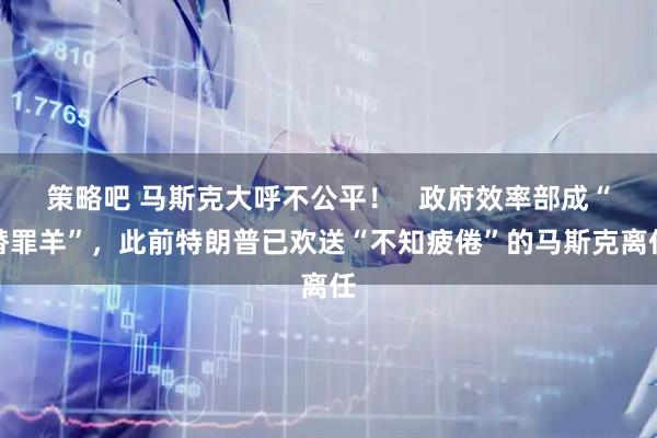 策略吧 马斯克大呼不公平！   政府效率部成“替罪羊”，此前特朗普已欢送“不知疲倦”的马斯克离任