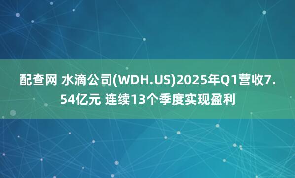 配查网 水滴公司(WDH.US)2025年Q1营收7.54亿元 连续13个季度实现盈利