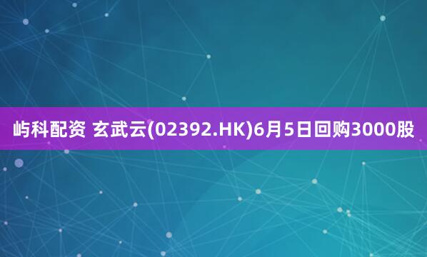 屿科配资 玄武云(02392.HK)6月5日回购3000股