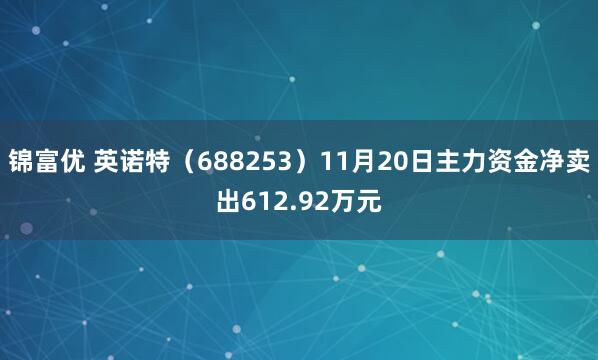 锦富优 英诺特（688253）11月20日主力资金净卖出612.92万元
